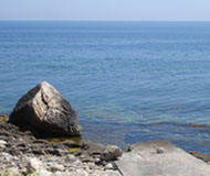 Clicca sull'immagine per ingrandirla